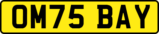 OM75BAY