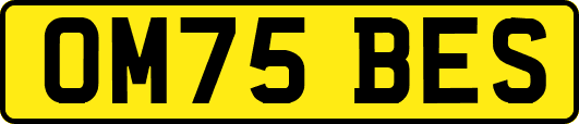 OM75BES