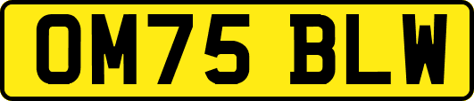 OM75BLW