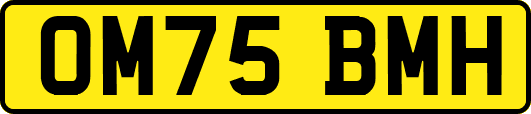 OM75BMH
