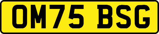 OM75BSG