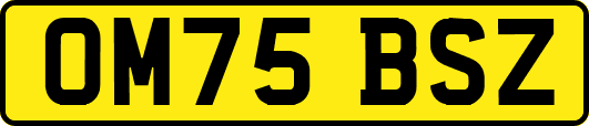 OM75BSZ