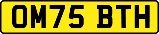 OM75BTH
