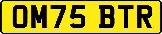 OM75BTR
