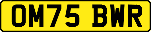 OM75BWR