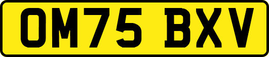 OM75BXV
