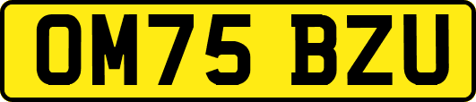 OM75BZU