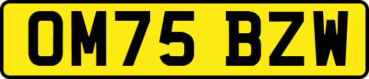 OM75BZW