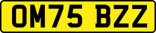OM75BZZ