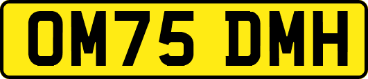 OM75DMH
