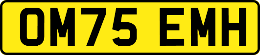 OM75EMH