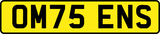 OM75ENS