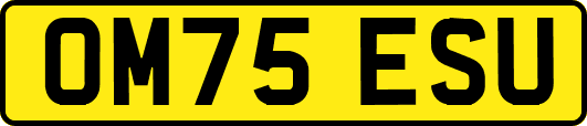 OM75ESU
