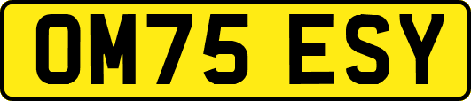 OM75ESY