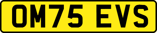 OM75EVS