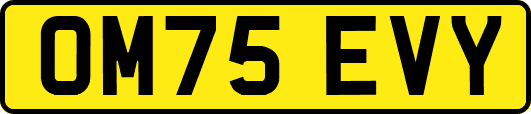 OM75EVY