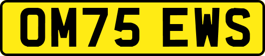 OM75EWS