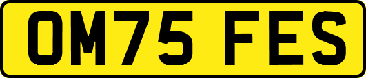 OM75FES