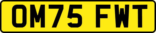 OM75FWT