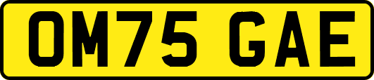 OM75GAE