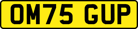 OM75GUP