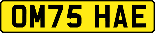 OM75HAE
