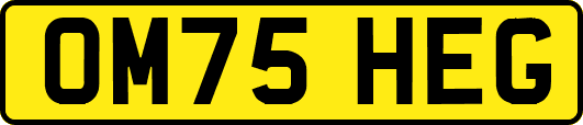 OM75HEG