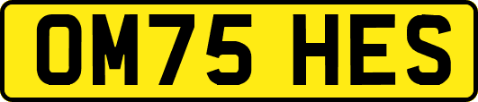 OM75HES