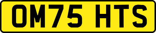 OM75HTS