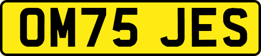 OM75JES