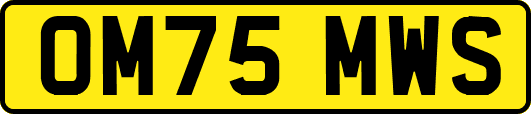OM75MWS