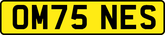 OM75NES