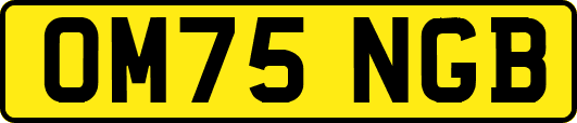 OM75NGB