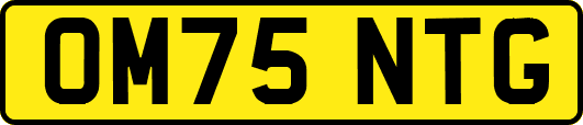 OM75NTG