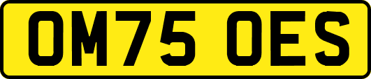 OM75OES