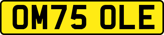 OM75OLE