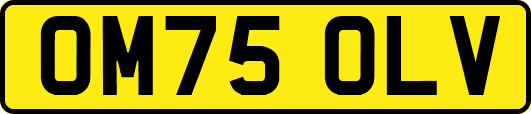 OM75OLV