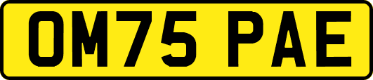 OM75PAE