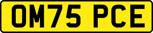 OM75PCE