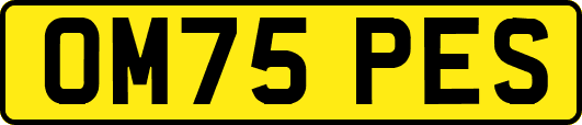 OM75PES