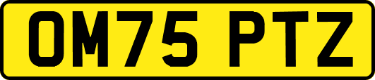 OM75PTZ