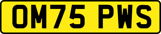 OM75PWS