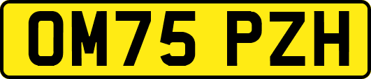 OM75PZH
