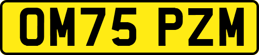 OM75PZM