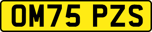 OM75PZS