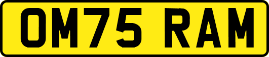 OM75RAM