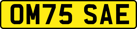 OM75SAE