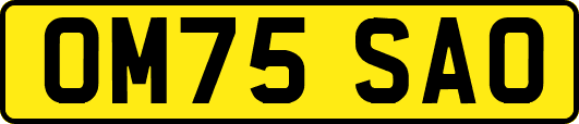 OM75SAO