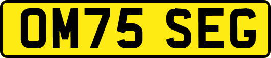 OM75SEG