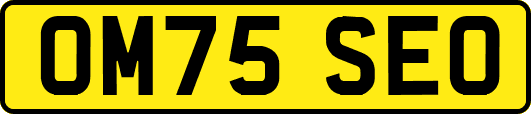 OM75SEO